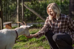 Waarom schrokt mijn dier zijn voer?